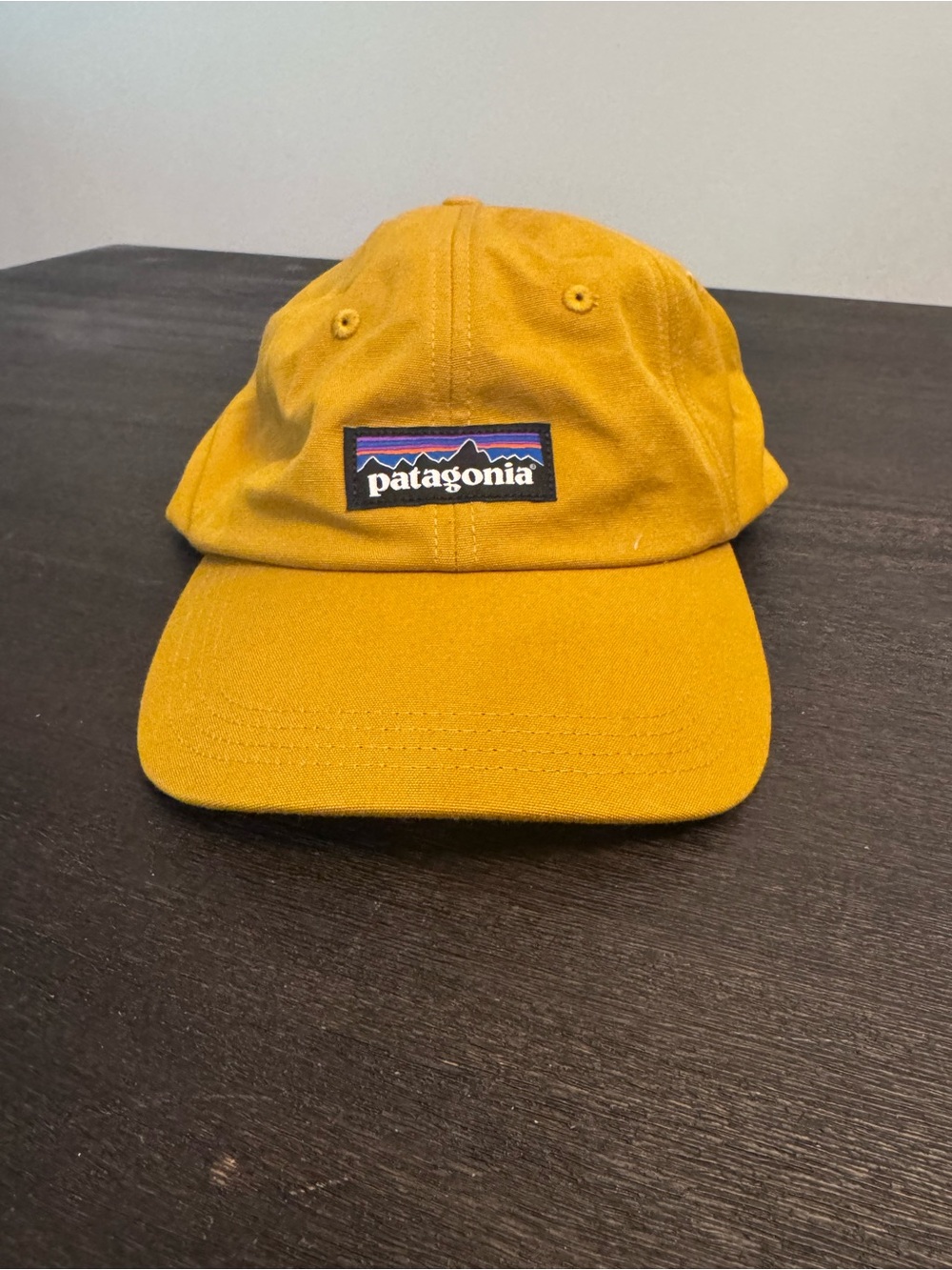 Patagonia Yellow Mustard Logo Baseball Cap